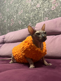 Ева из Благовещенска