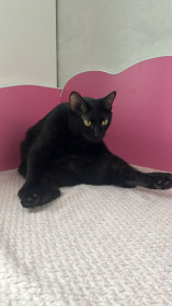 Григорий из Благовещенска