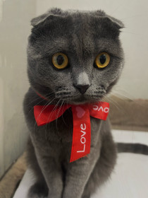 Шоня из Благовещенска