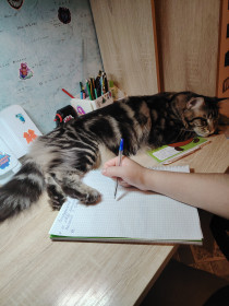 Томас из Белогорска