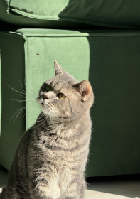 Марс из г. Благовещенска