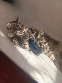 Василий из Ивановки