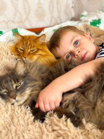 Тим и Том. с. Толстовка