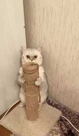 Ева из Райчихинска