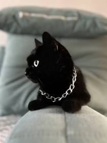 Буся Пионерская из Благовещенска