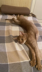 Марс из г. Райчихинска