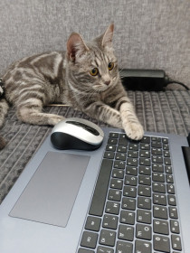 Бусинка, г. Благовещенск