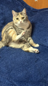 Муся из Благовещенска