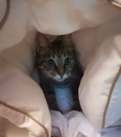 Люся из Благовещенска