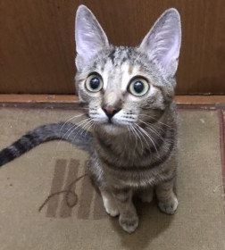 Манюня из Благовещенска