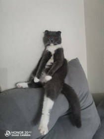 Мура из Благовещенска