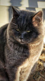 Прохор из с. Волково