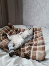 Мия из Благовещенска