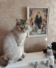 Рысильда из Белогорска