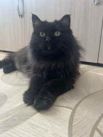 Муся из Райчихинска