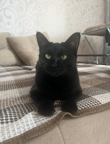 Нора из Райчихинска