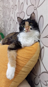 Наша Мурочка