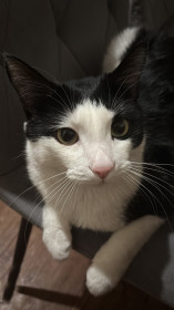 Марс из Февральска