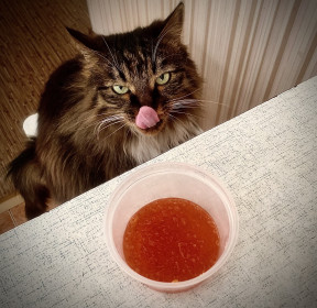 Хулиганка Женька из Белогорска