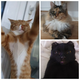 Прохор, Анфиса и Петрович из Благовещенска