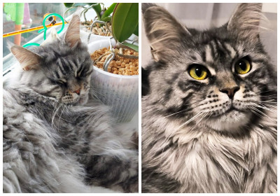 Несси из Благовещенска