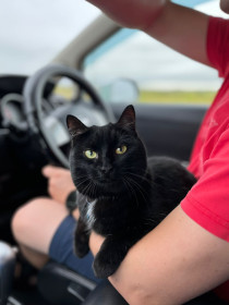 Феня из Благовещенска