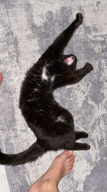 Все та же Феня из Благовещенска