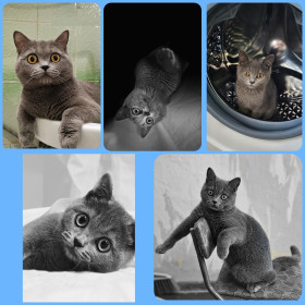 Котэо Лео из с. Талдан