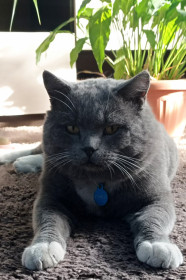 Семен из Экимчана