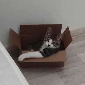 Апрель из г. Благовещенска