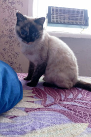 Бусинка из с. Желтоярово