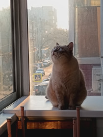 Наш Масечка (Марик) из Благовещенска