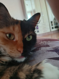 Буся из Благовещенска