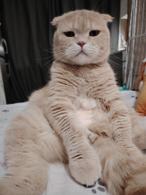 Барон Ричи из с. Желтоярово