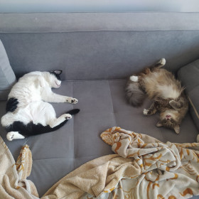 Мэйсон и Боня из Благовещенска