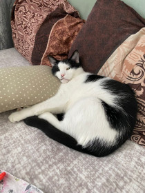 Боня из Благовещенска