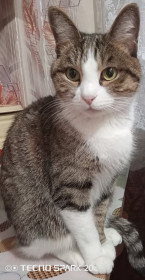 Соня из Райчихинска