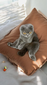 Мурзилка из Саскалей