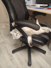 Филя из г. Благовещенска