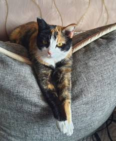 Соня, с. Соловьевск