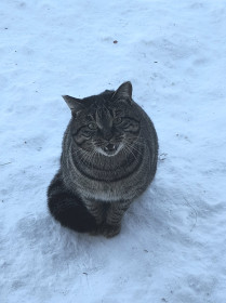 Барсик, с. Соловьевск