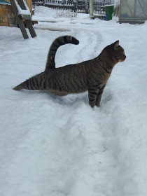 Барсик, с. Соловьевск