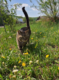 Барсик, с. Соловьевск