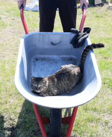 Барсик, с. Соловьевск