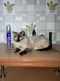 Бусинка из с. Желтоярово