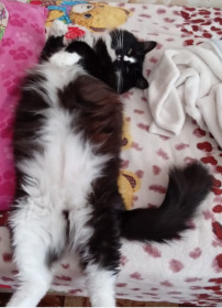 Тиша из Екатеринославки