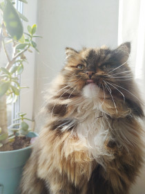 Победительница 4 сезона Бусинка из Благовещенска