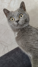 Гарик из Архары