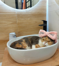 Мила из Благовещенска