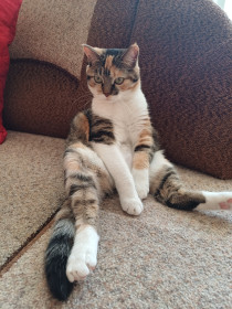 Соня из Благовещенска